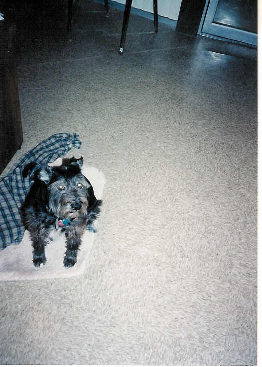 Pepper