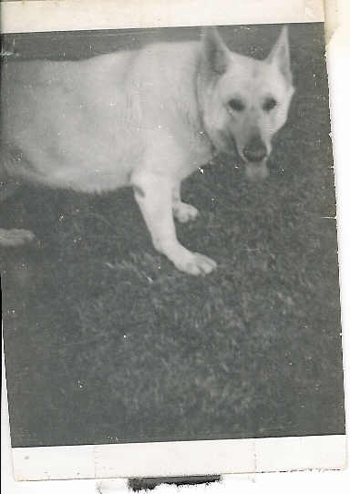 Lili